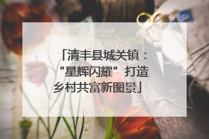 清丰县城关镇：“星辉闪耀”打造乡村共富新图景