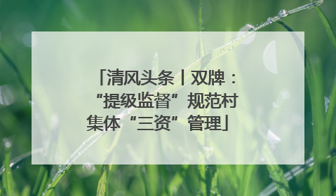 清风头条丨双牌：“提级监督”规范村集体“三资”管理