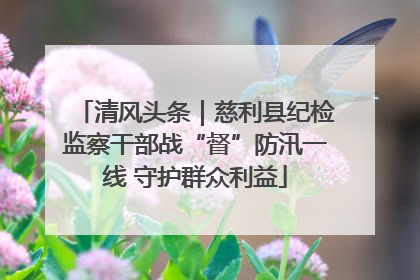 清风头条｜慈利县纪检监察干部战“督”防汛一线 守护群众利益