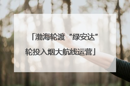 渤海轮渡“绿安达”轮投入烟大航线运营