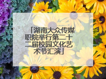 湖南大众传媒职院举行第二十二届校园文化艺术节汇演