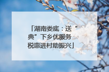 湖南娄底：送“典”下乡优服务 税惠进村助振兴