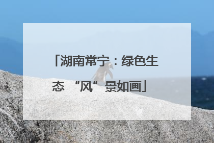 湖南常宁：绿色生态 “风”景如画