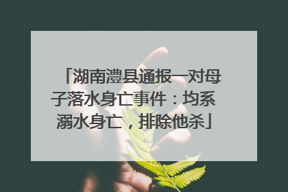 湖南澧县通报一对母子落水身亡事件：均系溺水身亡，排除他杀