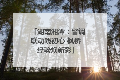 湖南湘潭：警调联动践初心 枫桥经验焕新彩