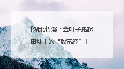 湖北竹溪：金叶子托起田埂上的“致富经”