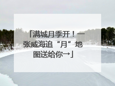满城月季开！一张威海追“月”地图送给你→