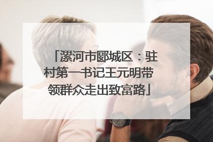 漯河市郾城区：驻村第一书记王元明带领群众走出致富路