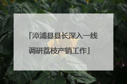 漳浦县县长深入一线调研荔枝产销工作
