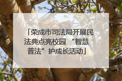 荣成市司法局开展民法典点亮校园 “智慧普法”护成长活动