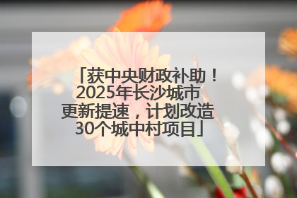 获中央财政补助！2025年长沙城市更新提速，计划改造30个城中村项目