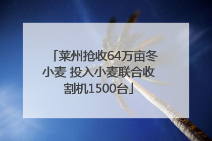 莱州抢收64万亩冬小麦 投入小麦联合收割机1500台