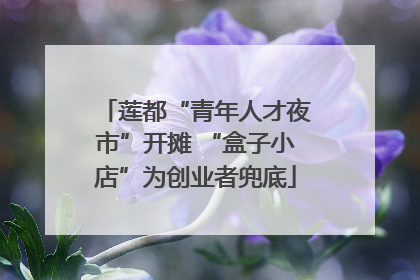 莲都“青年人才夜市”开摊 “盒子小店”为创业者兜底
