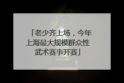 老少齐上场，今年上海最大规模群众性武术赛事开赛