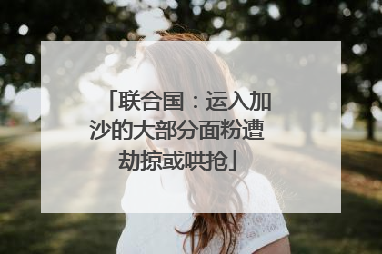 联合国：运入加沙的大部分面粉遭劫掠或哄抢