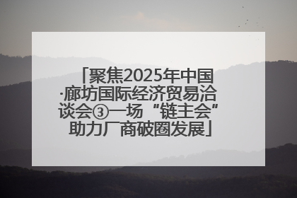 聚焦2025年中国·廊坊国际经济贸易洽谈会③一场“链主会” 助力厂商破圈发展