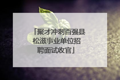 聚才冲刺百强县 松滋事业单位招聘面试收官