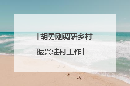 胡勇刚调研乡村振兴驻村工作