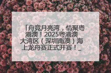 舟竞月亮湾，情聚粤港澳！2025粤港澳大湾区（深圳南澳）海上龙舟赛正式开赛！_深圳新闻网