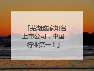 芜湖这家知名上市公司，中国行业第一！