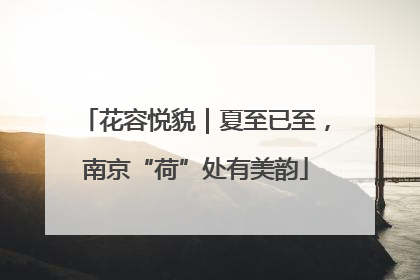 花容悦貌｜夏至已至，南京“荷”处有美韵