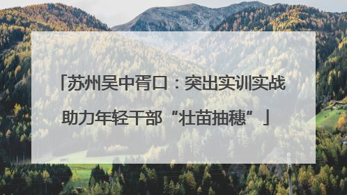 苏州吴中胥口：突出实训实战 助力年轻干部“壮苗抽穗”