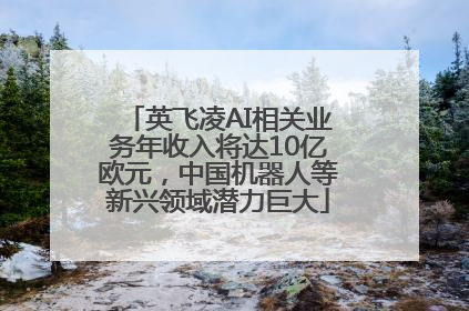 英飞凌AI相关业务年收入将达10亿欧元，中国机器人等新兴领域潜力巨大
