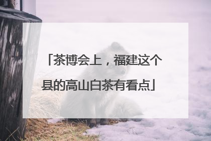 茶博会上，福建这个县的高山白茶有看点