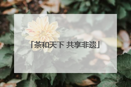 茶和天下 共享非遗