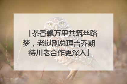 茶香飘万里共筑丝路梦，老挝副总理吉乔期待川老合作更深入