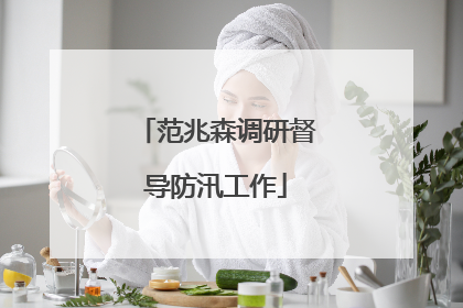 范兆森调研督导防汛工作