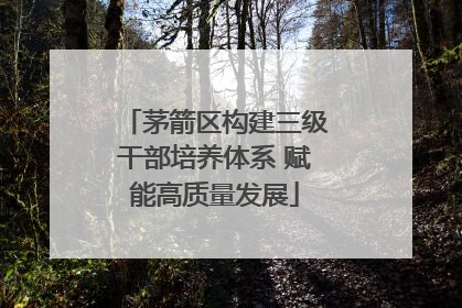 茅箭区构建三级干部培养体系 赋能高质量发展