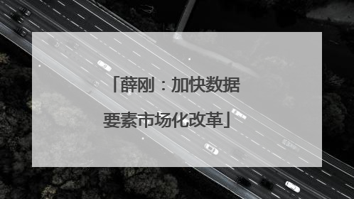 薛刚：加快数据要素市场化改革