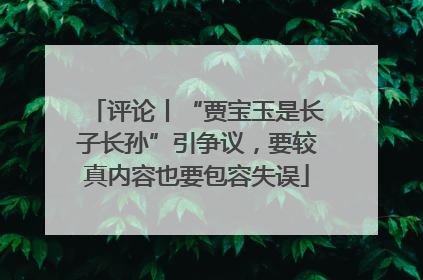 评论丨“贾宝玉是长子长孙”引争议，要较真内容也要包容失误