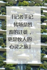 记者手记：转场是牲畜的迁徙，更是牧人的心灵之旅