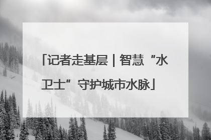 记者走基层｜智慧“水卫士”守护城市水脉