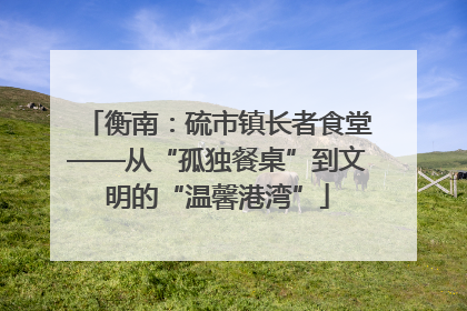 衡南：硫市镇长者食堂——从“孤独餐桌”到文明的“温馨港湾”