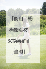 衡山：杨梅缀满枝 采摘尝鲜正当时