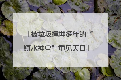 被垃圾掩埋多年的“镇水神兽”重见天日