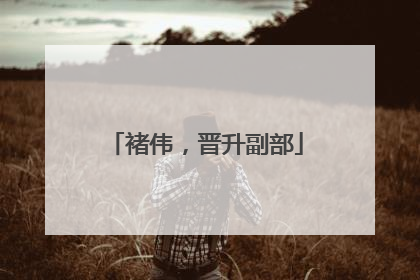 褚伟，晋升副部