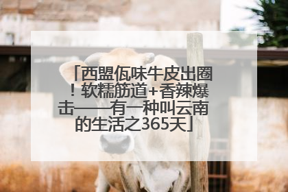 西盟佤味牛皮出圈！软糯筋道+香辣爆击——有一种叫云南的生活之365天