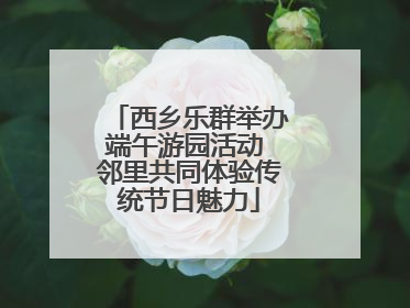 西乡乐群举办端午游园活动 邻里共同体验传统节日魅力