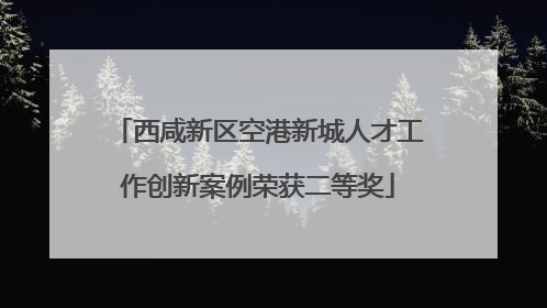 西咸新区空港新城人才工作创新案例荣获二等奖