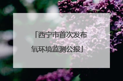 西宁市首次发布氧环境监测公报