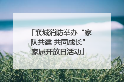 襄城消防举办“家队共建 共同成长”家属开放日活动