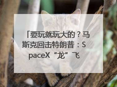 要玩就玩大的？马斯克回击特朗普：SpaceX“龙”飞船将立即退役！