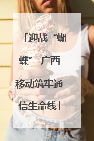 迎战“蝴蝶” 广西移动筑牢通信生命线