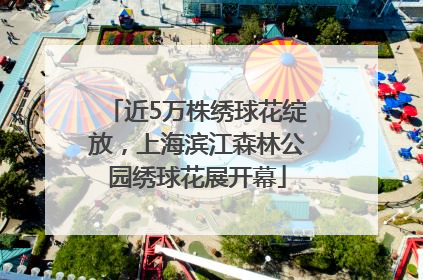 近5万株绣球花绽放，上海滨江森林公园绣球花展开幕