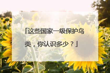 这些国家一级保护鸟类，你认识多少？