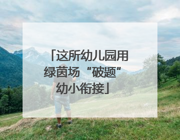 这所幼儿园用绿茵场“破题”幼小衔接